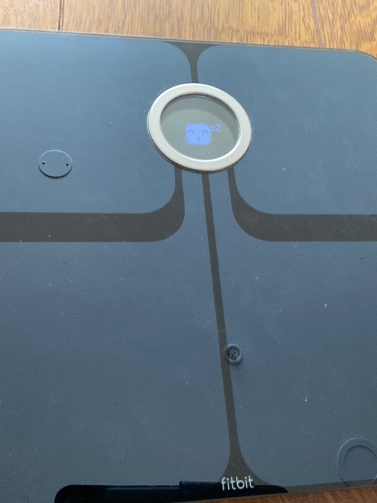 Fitbit Other - Fit Bit scale